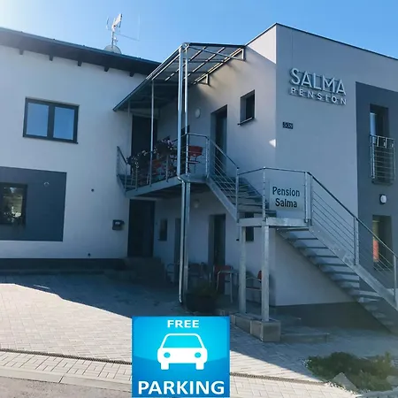 Гостевой дом Salma