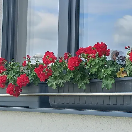 Salma ゲストハウス チェスキー クルムロフ