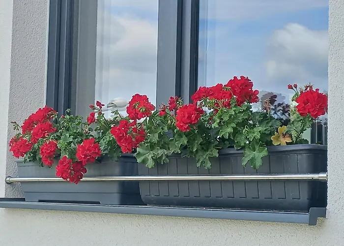 Salma Gæstehus Český Krumlov