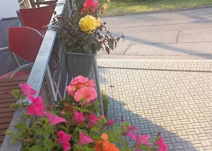 Salma Český Krumlov